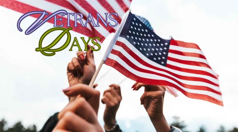 Honoring Heroes Veterans Day Celebrations Across the Nation