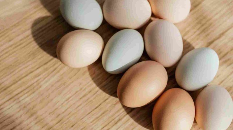 Breaking Boundaries The Rise of Carbon-Neutral Eggs