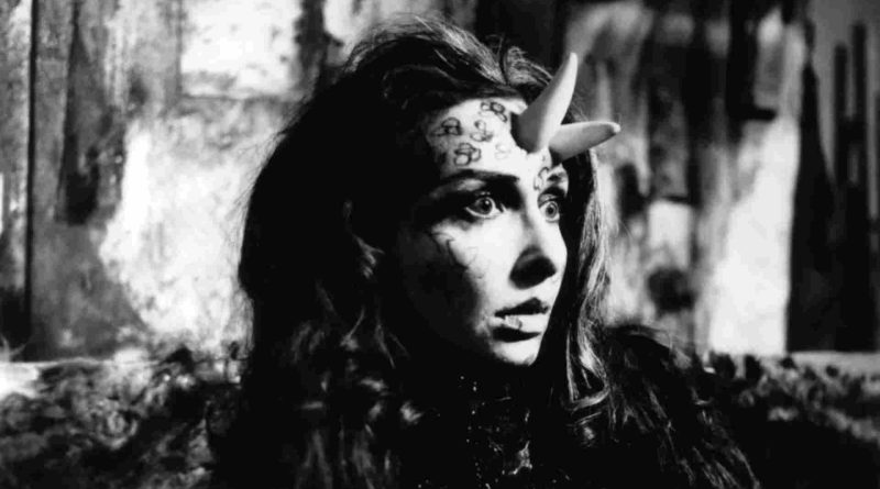 Carolee Schneemann A Tapestry of Artistic Revolution