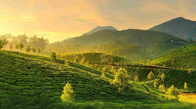 Embark on a mesmerizing journey through Kerala, the radiant jewel adorning the crown of South India