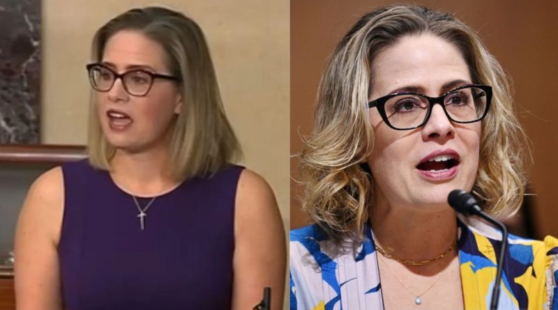 Former Obama Aide's Scathing Critique of Senator Sinema Sparks Controversy
