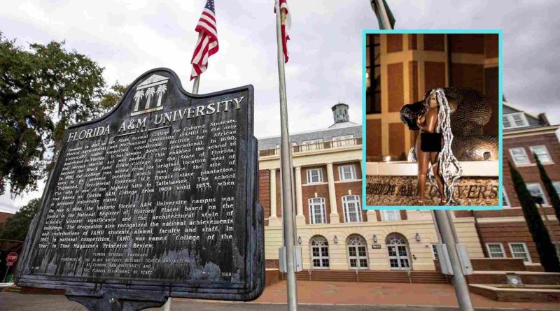 Unveiling Autonomy The Controversial Graduation Photos of Terica Williams at FAMU