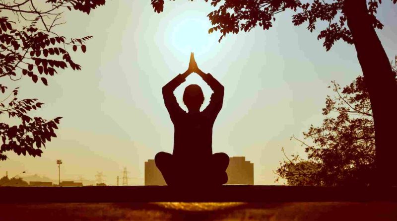 Zen Beginnings Mastering Yoga's Essential Poses for Beginners