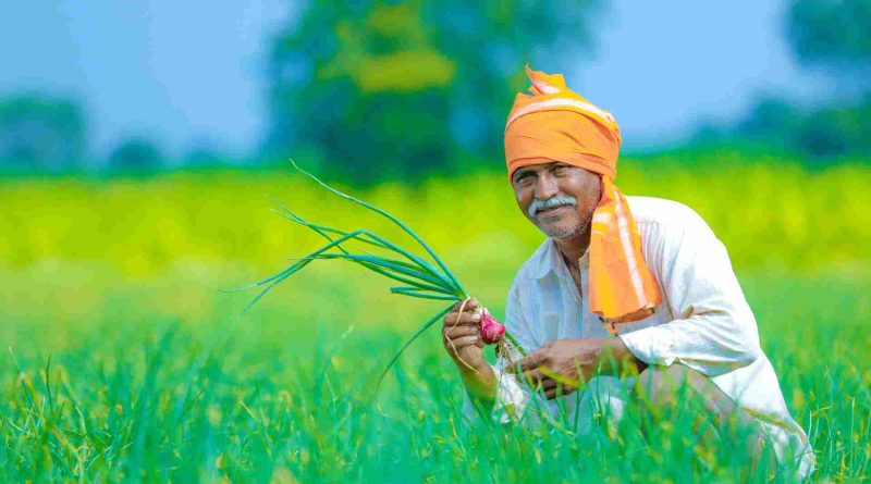 Government Allocates Rs 1,364 Crore to Over 20 Lakh Ineligible Beneficiaries in PM-KISAN Scheme