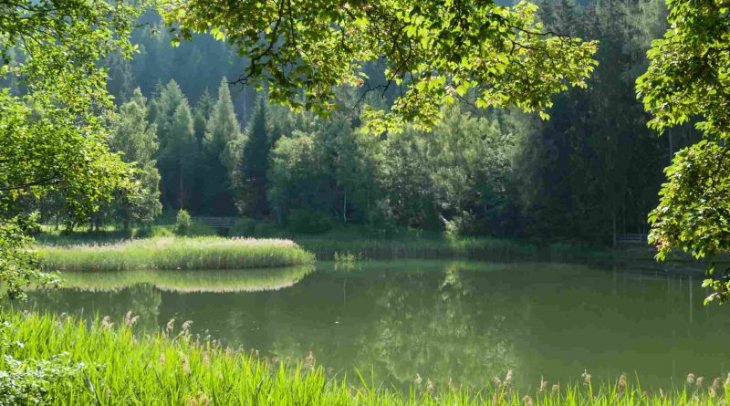 Transforming England's Landscape Ambitious Nature Recovery Projects Take Root