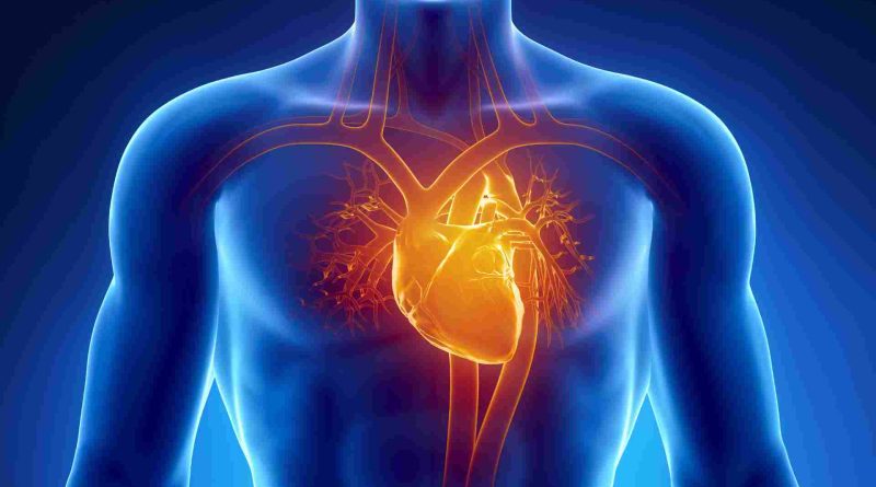 Unlocking the Links Between Stress and 'Broken Heart Syndrome'
