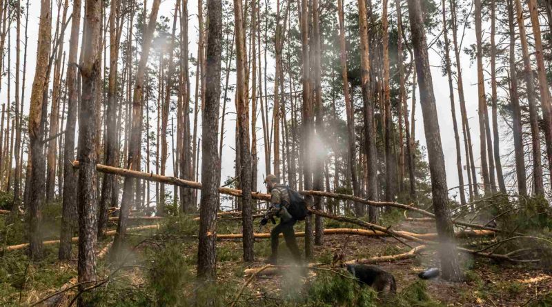 Unveiling the Ecological Toll of Conflict Ukraine's Nature Pays the Price