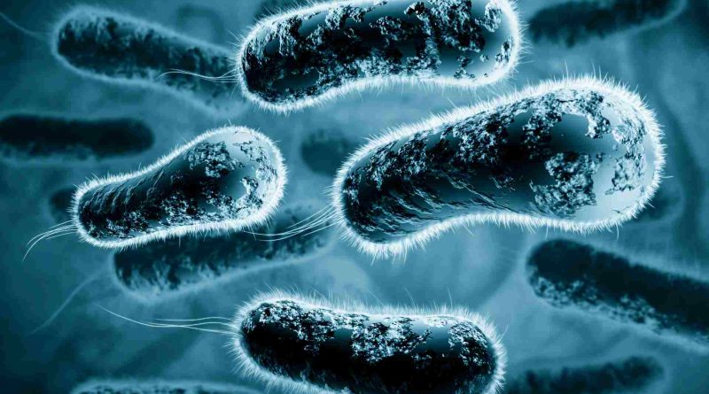 Unveiling the Microbial Symphony TM7x's Role in Orchestrating Phage-Bacterial Dynamics