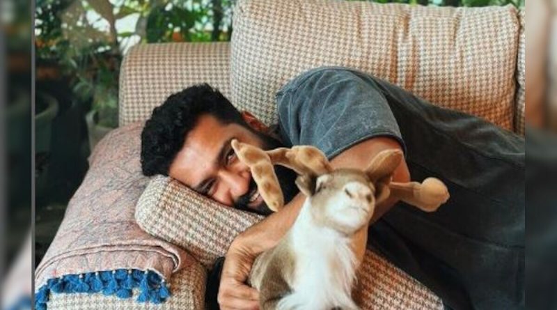 No Points For Guessing Who Captured Vicky Kaushal
