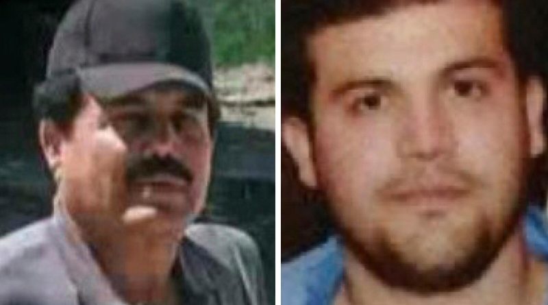 Attorney for cartel leader 'El Mayo’ says client was kidnapped, brought to the US