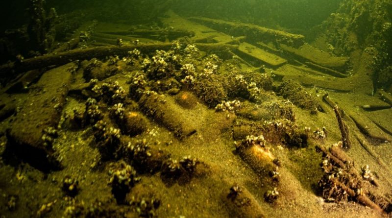 175-Year-Old Bottles Of Champagne Discovered By Polish Divers In A Shipwreck