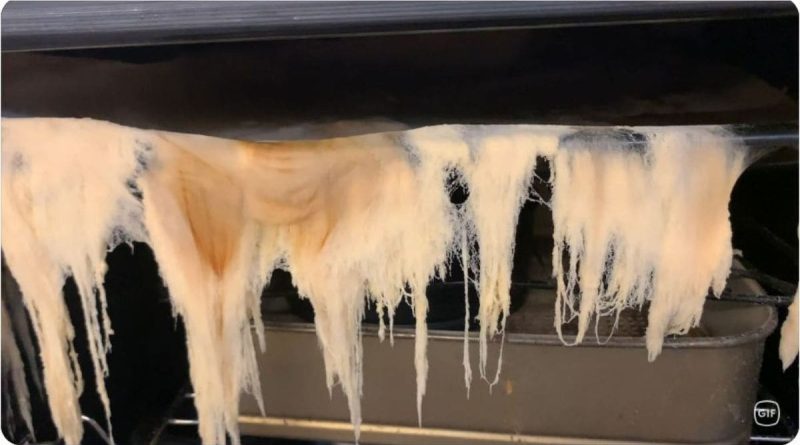 "Came Back To This": Woman In Shock Over Strange Sight Inside Oven. Watch The Video