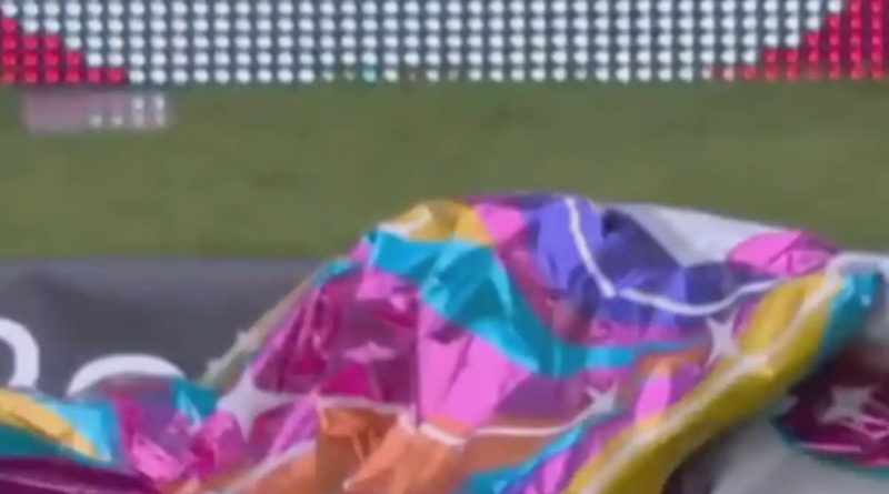 'Unicorn Balloon Stops Play' In 2nd England vs West Indies Test, Crowd Reaction Is Pure Gold. Watch