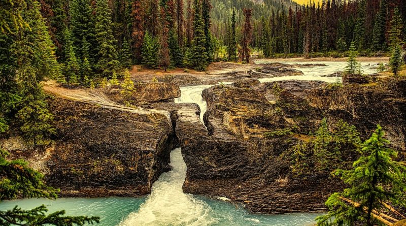 Family Of Indian Man, Who Drowned In US National Park, Urge Government For More Help