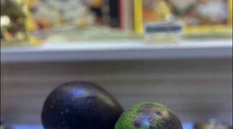 Bengaluru Man On Parents Using Avacados For Puja