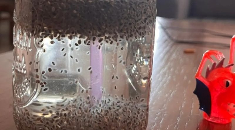 "Tadpole Water" Is The New Gen Z Weight Loss Trend Going Viral Online, Here's What It Is