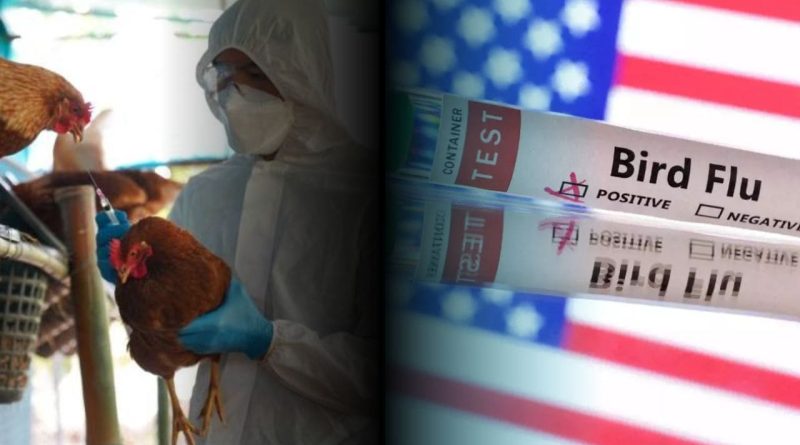 CDC confirms first serious bird flu case in the US