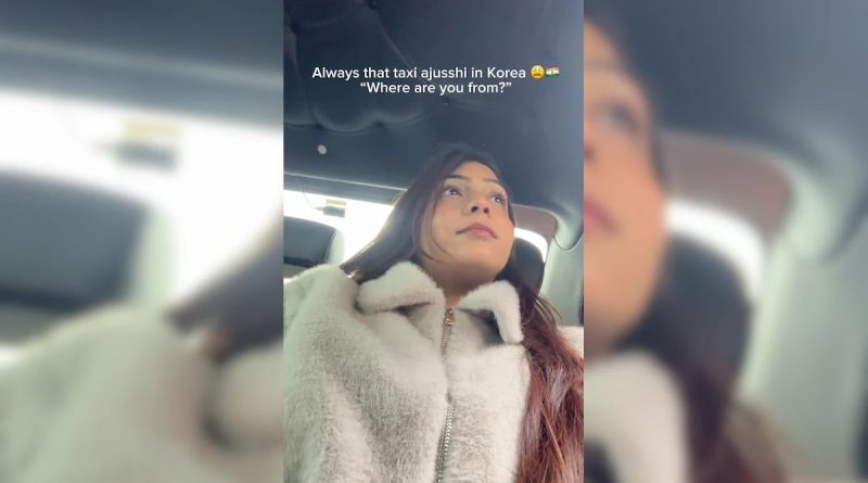 Woman's Conversation With Korean Driver Who Can't Believe India Exists