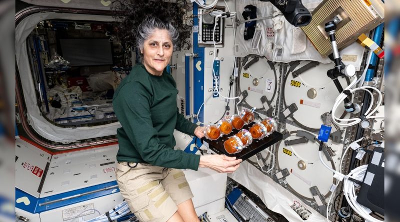 How Sunita Williams Is Spending Time In Space